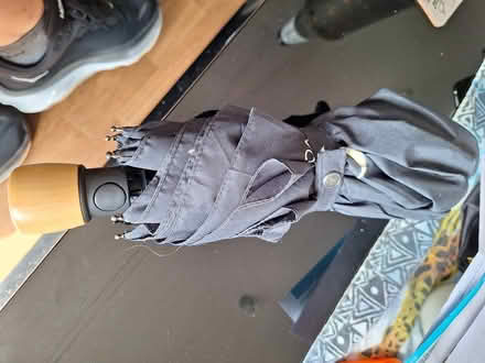 Photo of free Umbrella (EH7) #1