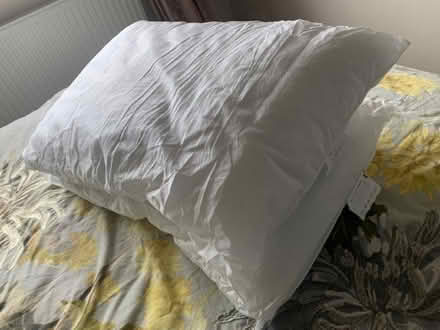 Photo of free 2 Pillows (Longbenton NE7) #2
