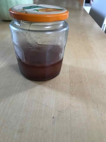 Photo of free Scoby (Nether Edge S7) #1