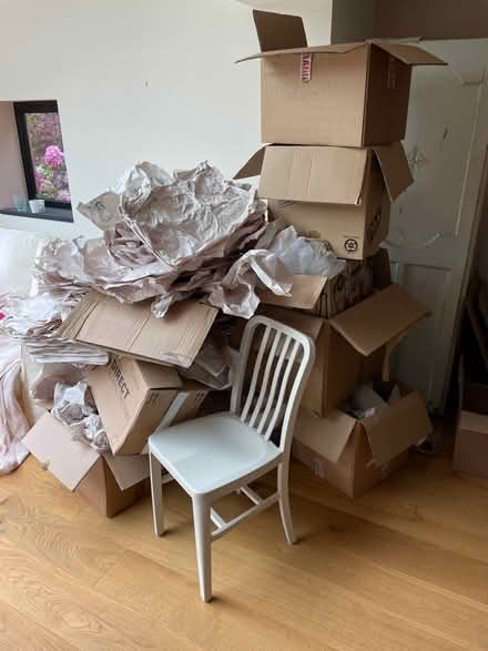 Photo of free Moving boxes etc (Forest row) #1