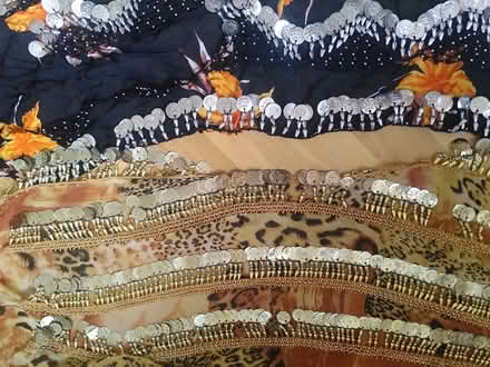 Photo of free 2 x belly dance belters (N7 Holloway Road) #1
