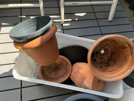 Photo of free Selection of plant pots (E3) #3