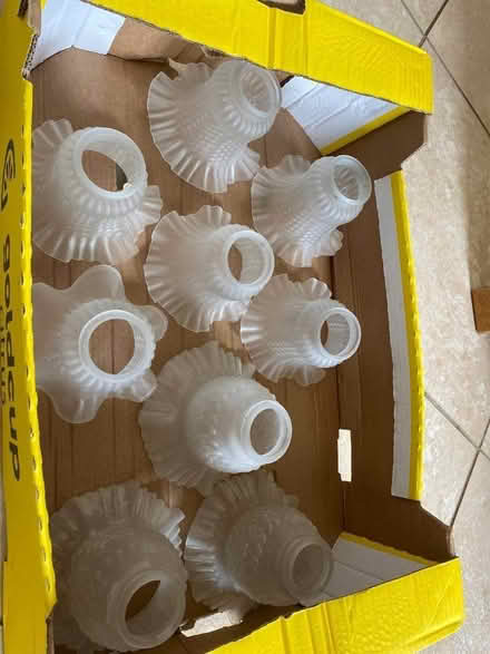 Photo of free Glass shades for light fittings (Southport PR8) #1