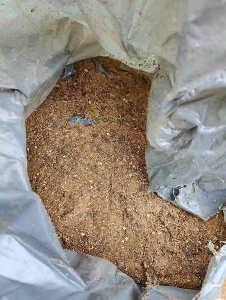 Photo of free Bags of sandy topsoil (Digswell AL6) #1