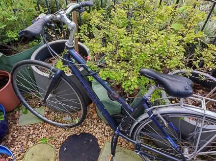 Photo of free Ridgeback metro ladies bike (Leith EH6) #2