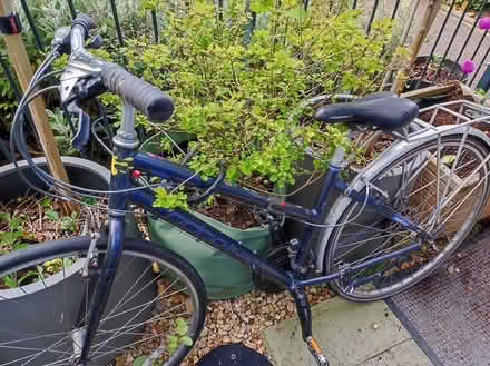 Photo of free Ridgeback metro ladies bike (Leith EH6) #1