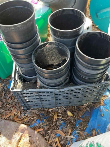 Photo of free Plant containers, pots and holders (Oakland) #2