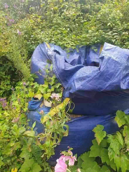 Photo of free Builders Sand (Patcham BN1) #1