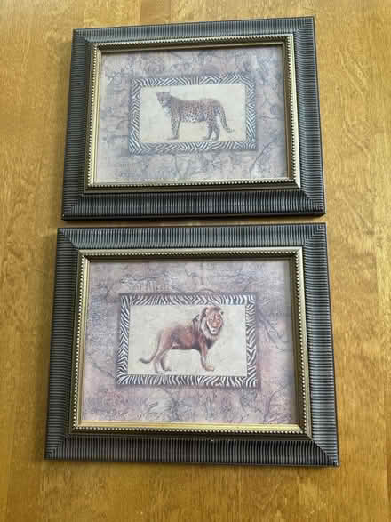 Photo of free Framed Pictures (Aurora) #1