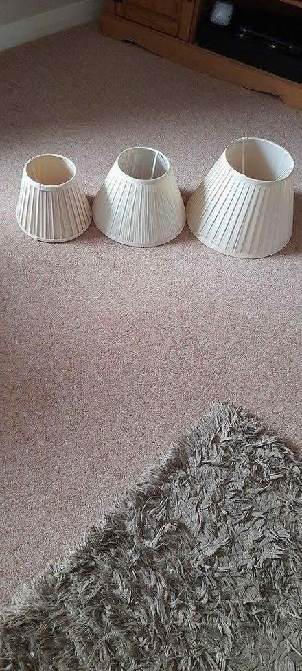 Photo of free set of lamp/light shades (AB33) #3