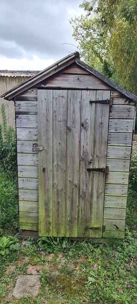 Photo of free Garden shed (Thames Ditton KT7) #1
