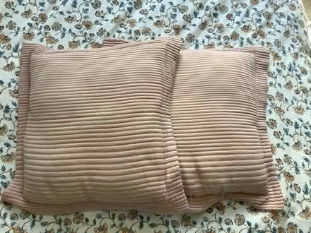 Photo of free Pink Cushions (Horsforth, LS18) #1
