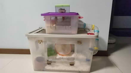 Photo of free 3 storey hamster cage, well-used (Sengkang) #1