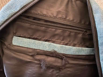 Photo of free Backpack (Spring Hill) #1