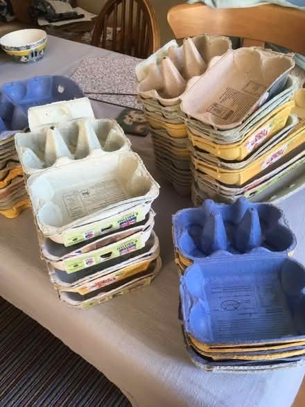 Photo of free Cardboard eggboxes (New Hinksey OX1) #1