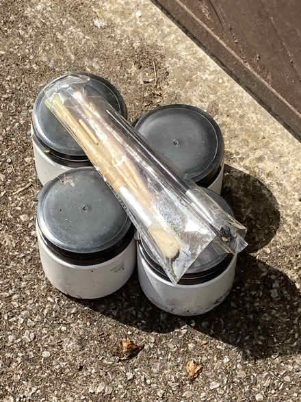 Photo of free Kids powder paint and brushes (Mayford, Woking) #1