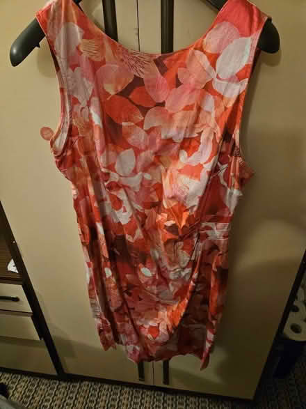 Photo of free Ladies clothing size 18 mostly dresses. (Canley CV4) #1
