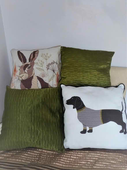 Photo of free Cushions x 4 approx. 40cm x 40cm each (Marshall's Cross WA9) #1