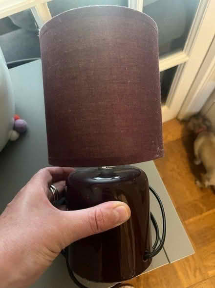 Photo of free Table lamp (EN5) #3