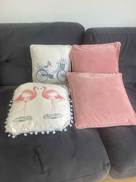 Photo of free 4 cushions (Bedford) #1