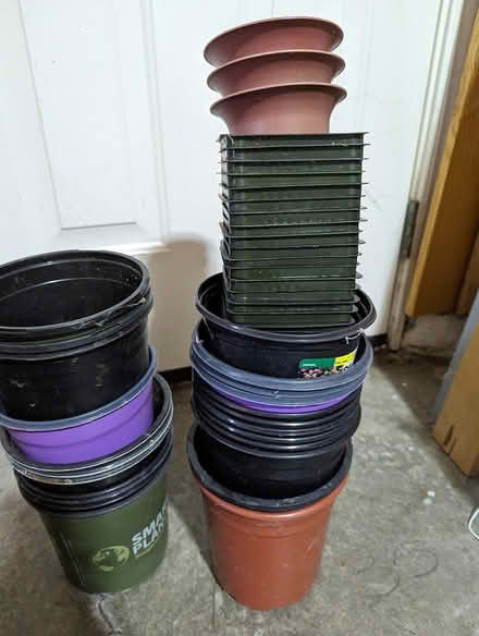 Photo of free 4-in and larger pots (Hercules) #1