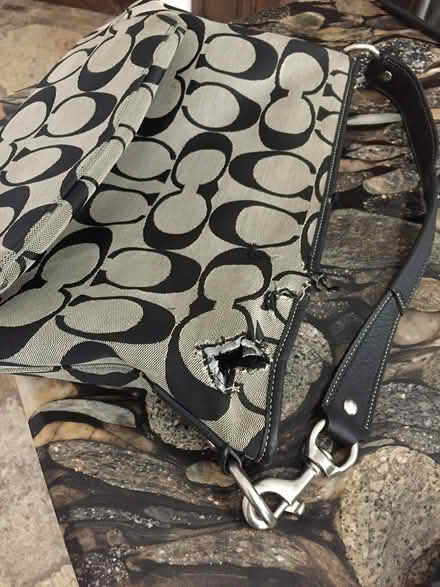 Photo of free Coach purse, authentic but damaged (Glen Abbey) #2
