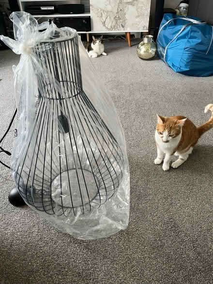 Photo of free Very large pendant light (Sutton SM1) #2