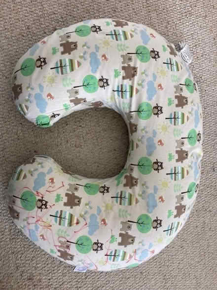 Photo of free Boppy feeding cushion (Whitemans Green RH17) #1