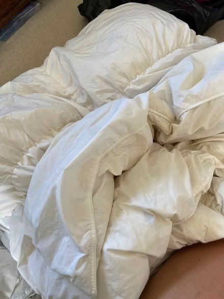 Photo of free Fogarty duvet size 12 (CT5) #2