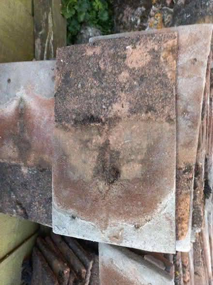 Photo of free Roof tiles (St thomas, exeter) #2