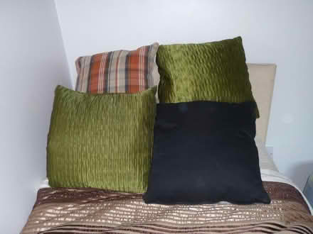 Photo of free Cushions x 4 approx. 40cm x 40cm each (Marshall's Cross WA9) #2