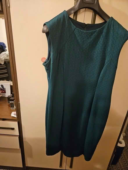 Photo of free Ladies clothing size 18 mostly dresses. (Canley CV4) #3