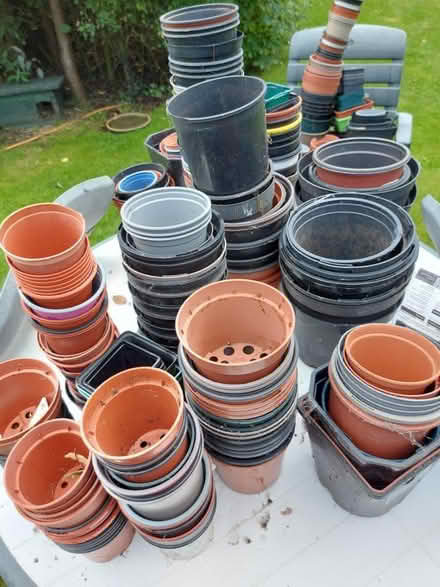 Photo of free Pots pots pots (Heswall CH60) #1