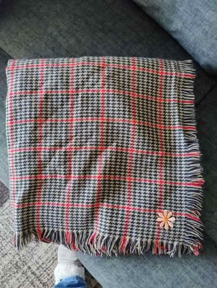 Photo of free Checked blanket (Winklebury RG23) #1