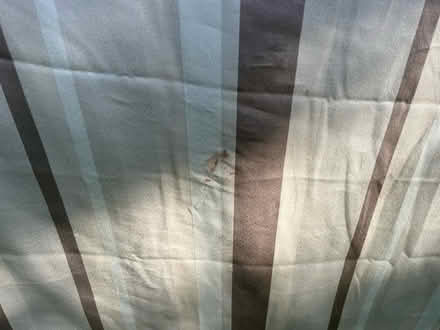 Photo of free Pair of curtains (Penarth CF64) #4