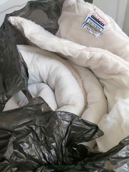 Photo of free Double duvet (Portslade) #2