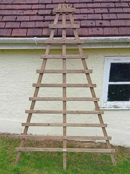 Photo of free Wooden garden trellis - 120cm x 180cm (Ware SG12) #1