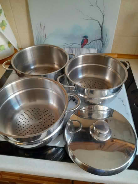 Photo of free Vegetable Steamer (Burbage) #1