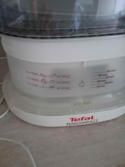 Photo of free tefal mini compact steamer (Martin's Heron RG12) #1