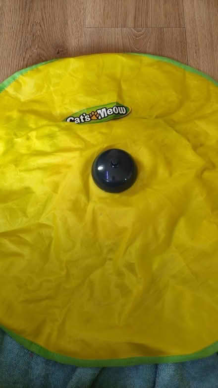 Photo of free Cat toy (Tankersley S75) #1