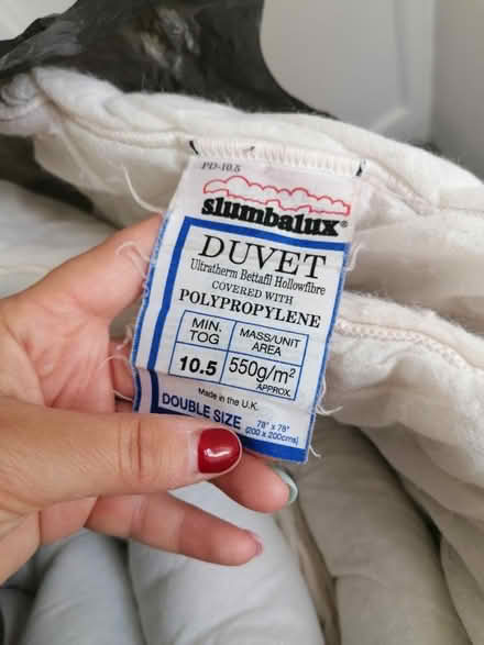 Photo of free Double duvet (Portslade) #1