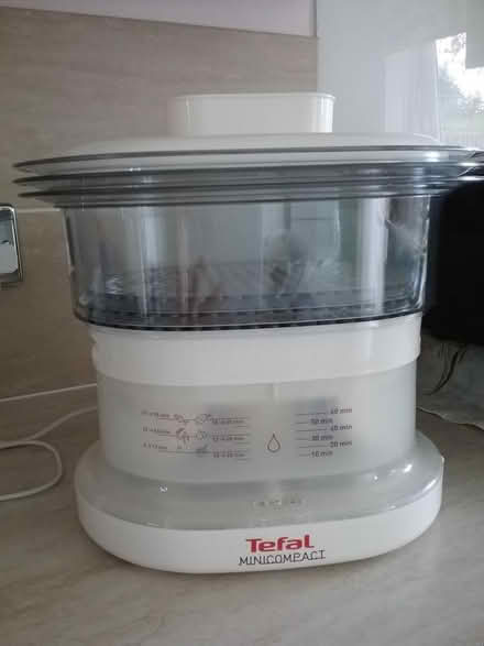 Photo of free tefal mini compact steamer (Martin's Heron RG12) #3