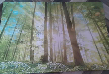 Photo of free Large Canvas Print (North Shields) #1