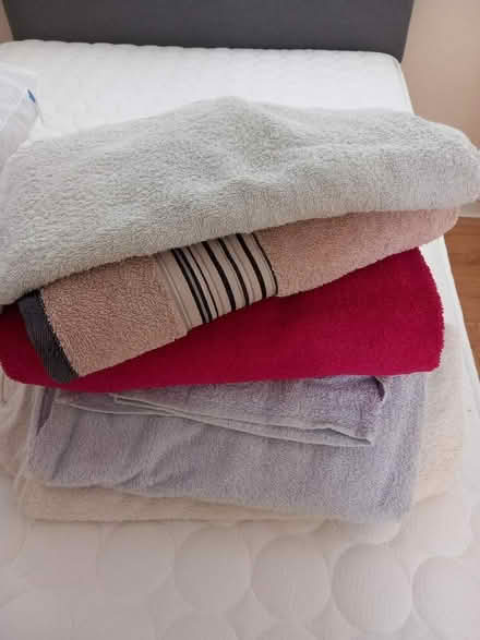 Photo of free Dog towels (Kenn Road BS21) #1