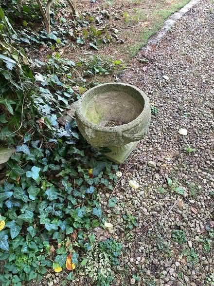 Photo of free Planters (Bower Hinton TA12) #1