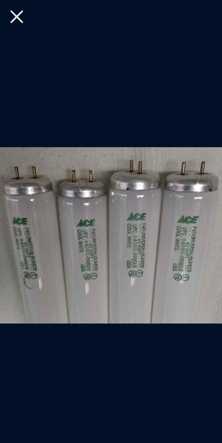 Photo of free 4-4ft, 40W Flourescent Light Bulbs (West Lakeland) #1