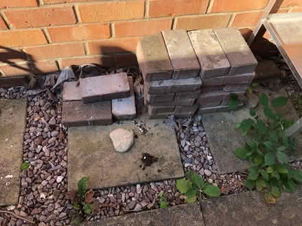 Photo of free Garden edging bricks (Shrewsbury) #1