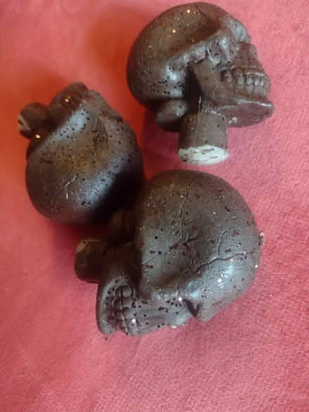 Photo of free 3 skull candles (Ballard loyal heights) #2