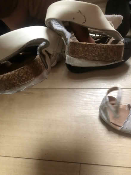 Photo of free Girl’s shoes (Hornsey N8) #1
