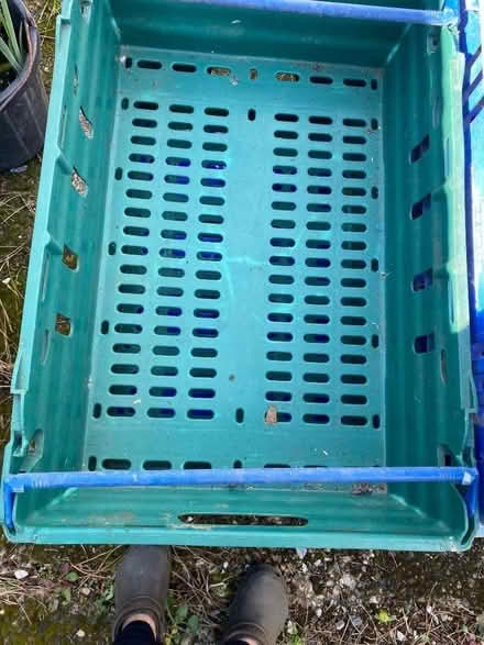 Photo of free 17 stackable heavy duty plastic crates (Penyffordd CH4) #1
